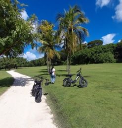 throttle-motorcycle-feature-ebike-1